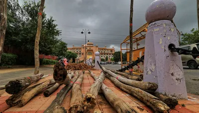 explained  how rajasthan hc s decision on 6 bsp mlas joining congress could affect floor test