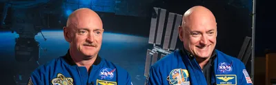 world s media bungled twin astronauts study so bad that nasa had to step in