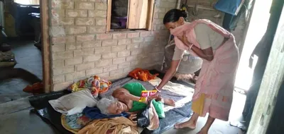  tiger widows  in sunderbans reel under triple whammy of big cats  lockdown  amphan