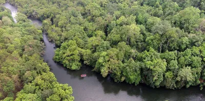 moefcc expert committee gives wildlife clearance for kaiga nuclear plant’s expansion