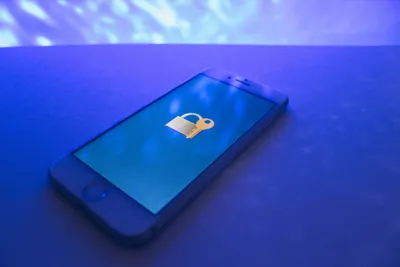 why the srikrishna committee rejected ownership of data in favour of fiduciary duty