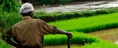 the bogus nature of congress’ farm loan waiver promises