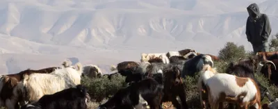 ein rashash  a typical west bank morning under illegal israeli occupation