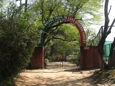 chandigarh flyover halted  high court backs cyclists  pedestrians and le corbusier s green vision