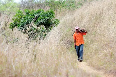 how climate change is driving people out of central america