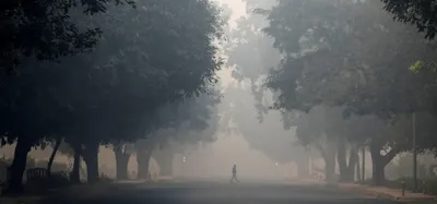 confessions of a lutyens  child