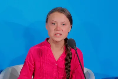 greta thunberg wins  alternative nobel prize 