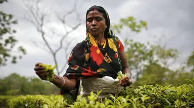 interview  if india wants to be a global leader  it cannot overlook its women workers