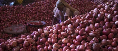 centre s measures to control onion prices will hurt farmers