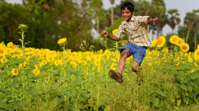 how the dravidian model of development succeeded in tamil nadu