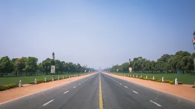 compensatory afforestation is not the ultimate solution to delhi s tree fellings