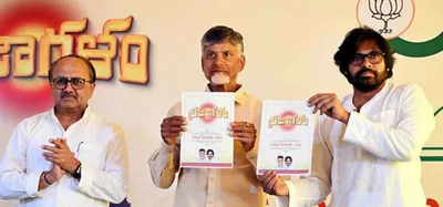 explained  the development conundrum of andhra pradesh and ysrcp s defeat