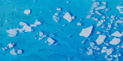 uk judge rules wikileaks  julian assange should not be extradited to the us