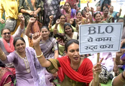 civil society organisations in maharashtra urge eci to extend enumeration process of sir by at least two months