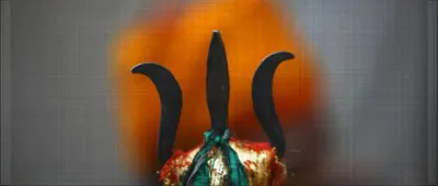  rightsideup  the weaponisation of  jai shri ram   amit shah to combat lynching