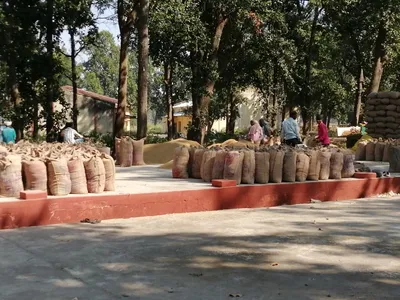 farm laws  what the centre can learn from chhattisgarh s raman singh era