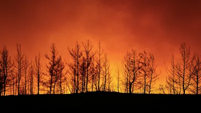  prayforturkey trends as more than 60 wildfires sweep southern coast  killing 4