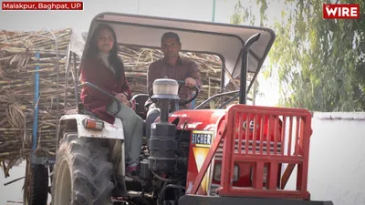 watch   sugarcane farmers suffer in up  govt working for businesses  not farmers