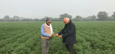 in sikandrabad  a farmer tries to forge a new trust based contract model for agriculture
