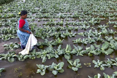 india 9th among countries most severely affected by extreme weather events in last 30 years  report