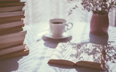 how a book of poetry navigates the vocabulary of silence