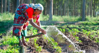 demand for msp guarantee ignores agricultural labourers and widening class divide