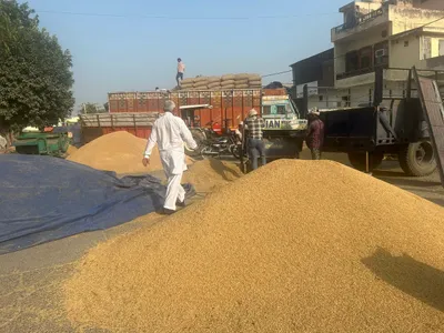 close contest in haryana’s ladwa as unemployment  farmers’ distress cloud hopes of ‘cm city’
