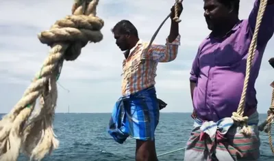 gulf of mannar  trouble in paradise – part ii