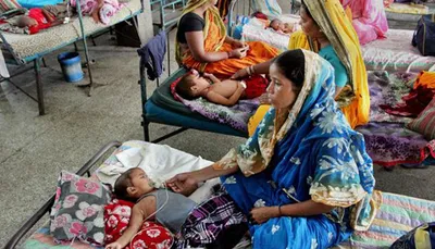 top body of national health mission has quietly become an all bureaucrat affair