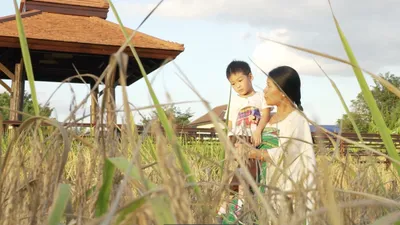 interview    jwlwi  is the story of many in the northeast during the insurgency  rajni basumatary