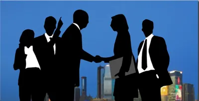 audit businesses of big 5 under govt scanner for alleged regulatory violations