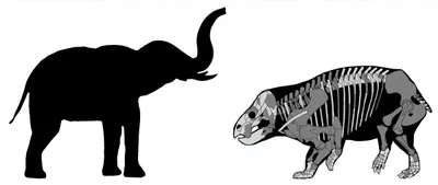 an elephant sized mammal cousin lived alongside dinosaurs