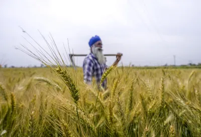 from data to decisions  what bharat vistaar needs to transform indian agriculture