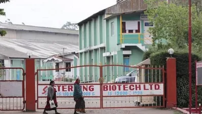 sterling biotech lenders push for settlement even as absconding promoters are under probe