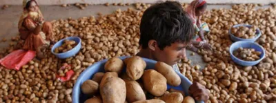 pepsico controversy  globally  india has always refused to give in on ipr on plant varieties