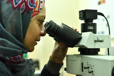 women won t study stem just because they live in a more gender equal country