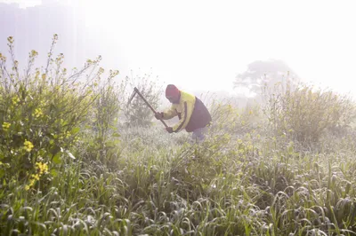 seven hits – and misses – in independent india 