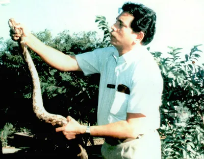 lalji singh  considered  father  of indian dna fingerprinting  no more