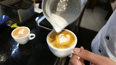 watch  brewing since 1962  devan s is a hit with coffee lovers in delhi