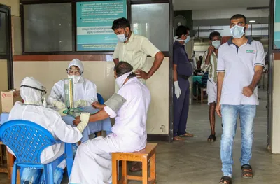 scientists claim drug designed to beat ebola also fights off nipah