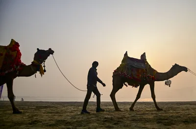 why do we ignore pastoralism’s hidden economy 