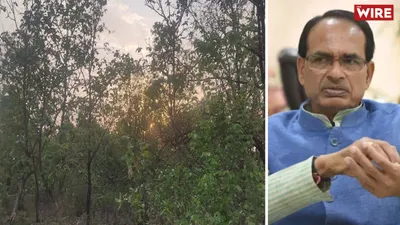 watch   in search of diamonds  mp govt remains silent on buxwaha forest clearance
