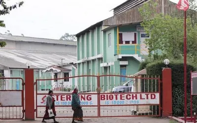 how the sterling biotech deal could derail bankruptcy law