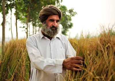 the life of labour  criminal cases against farmers  bsnl employees on strike