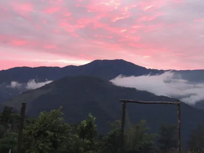 an experimental eco tourist in nagaland