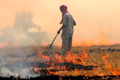 the only way to deal with the stubble burning issue is to treat it as a policy matter