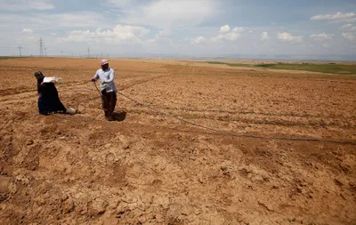 desertification costs world economy up to  15 trillion  un