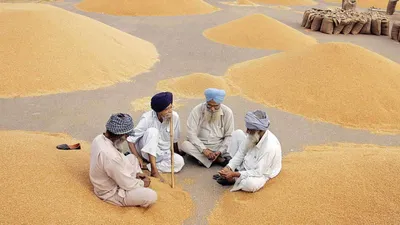 will the pm kisan scheme impress india s farmers 