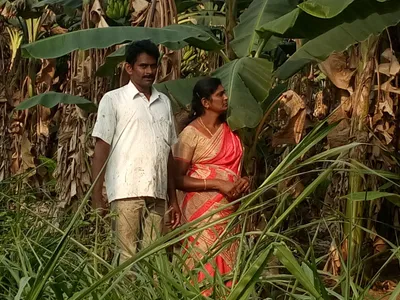 farmer s notebook  increasing earnings by engaging in direct selling