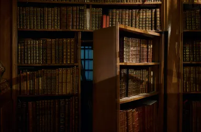 indian literature speaks french